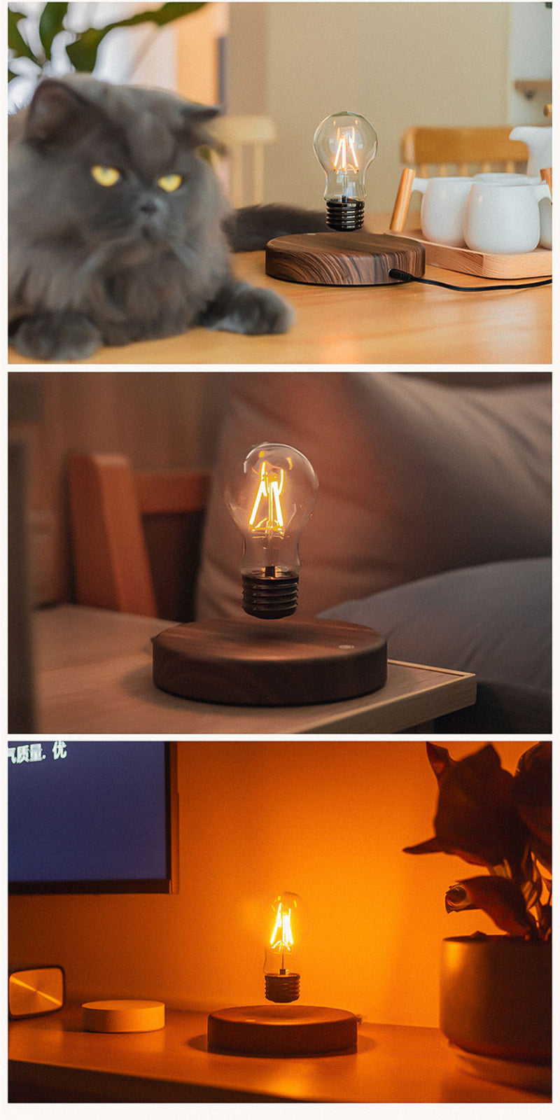 Atmosphere Maglev Light Bulb Ambient Night Light
