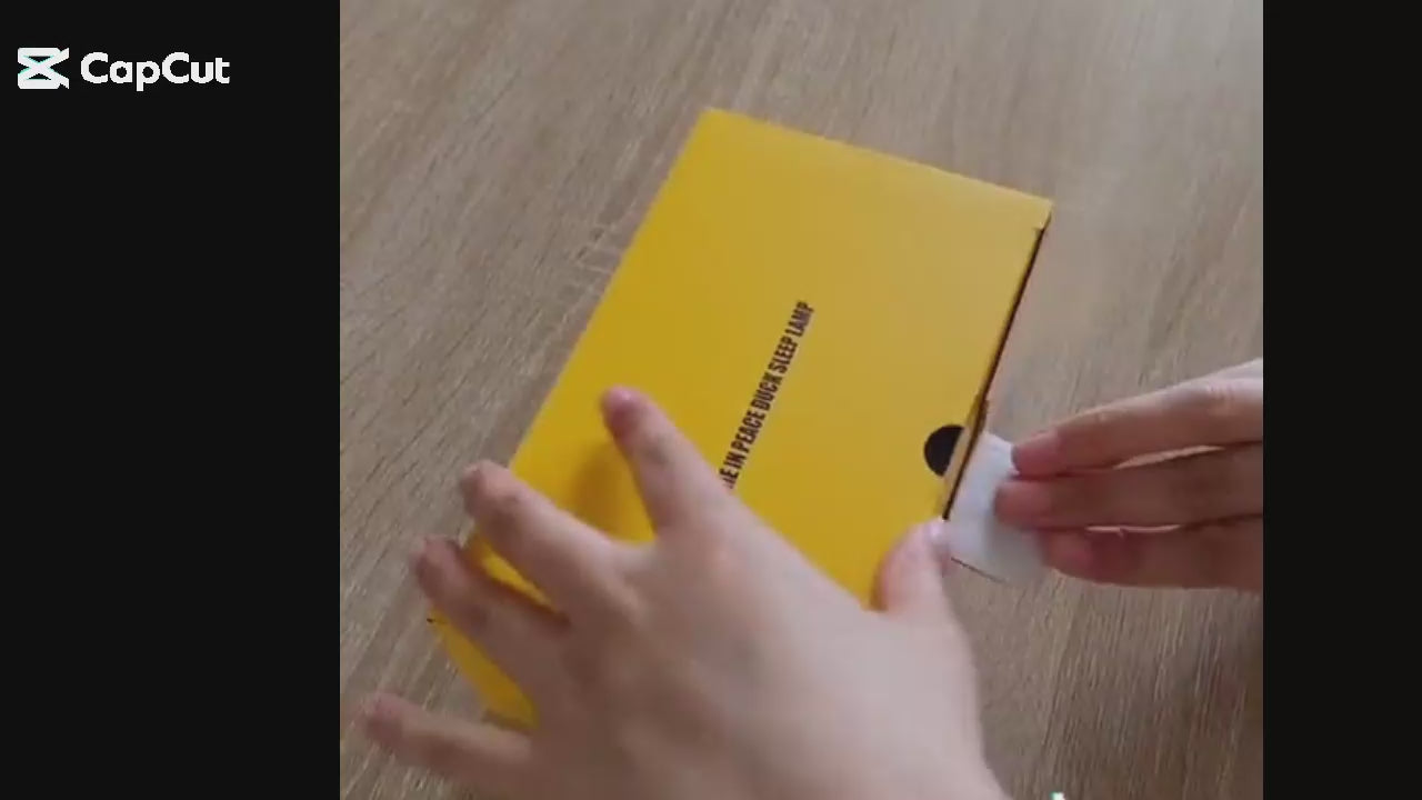 Lying Duck Night Light