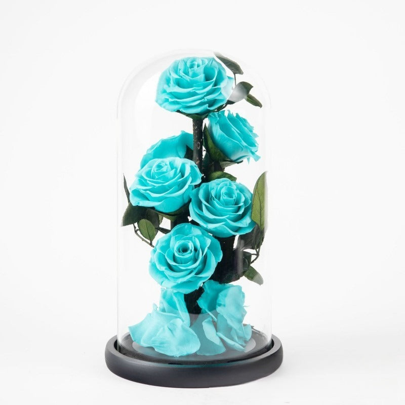 Grand Prince Rose 6