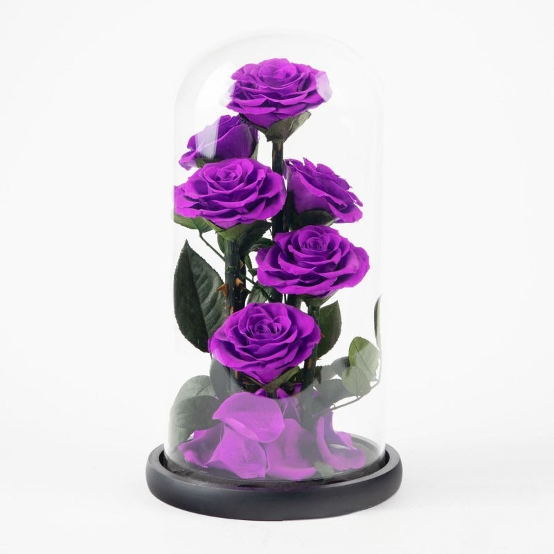 Grand Prince Rose 6
