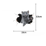 Personalized Cat Stickers - KasGlobe
