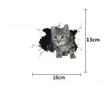 Personalized Cat Stickers - KasGlobe