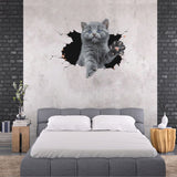Personalized Cat Stickers - KasGlobe